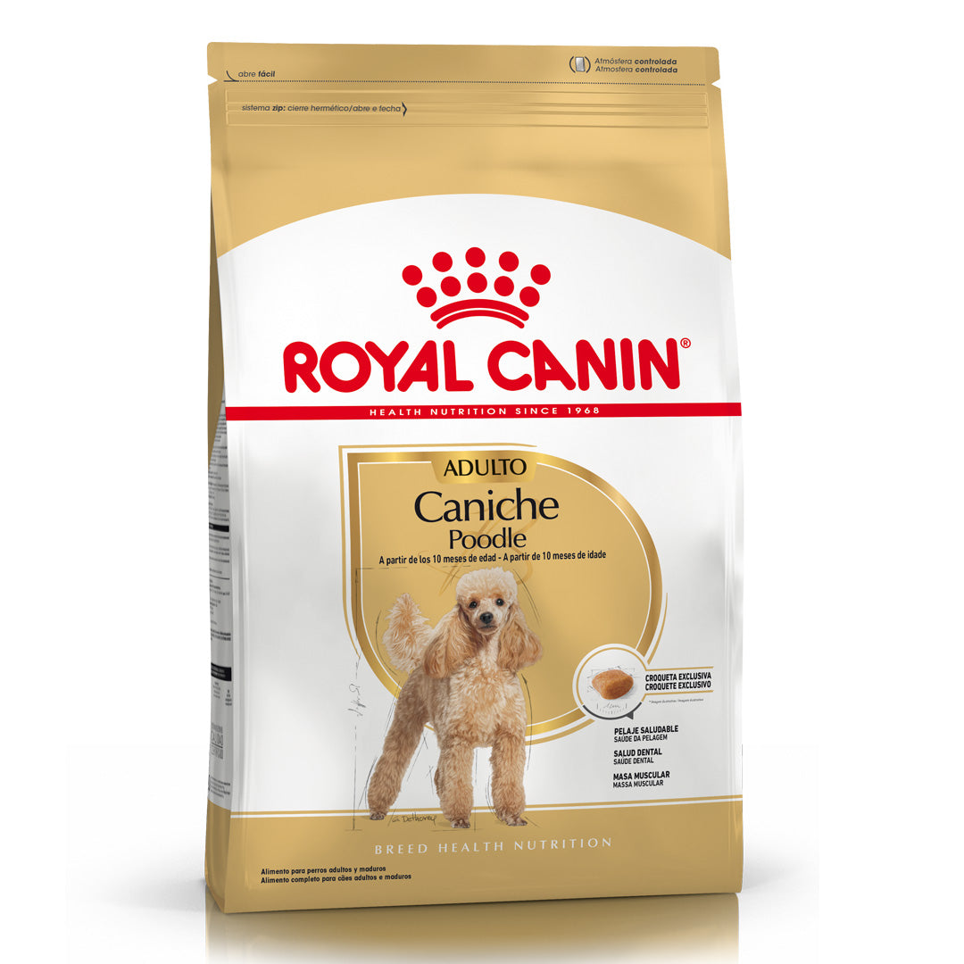 Alimento Royal Canin Perro Caniche Adulto