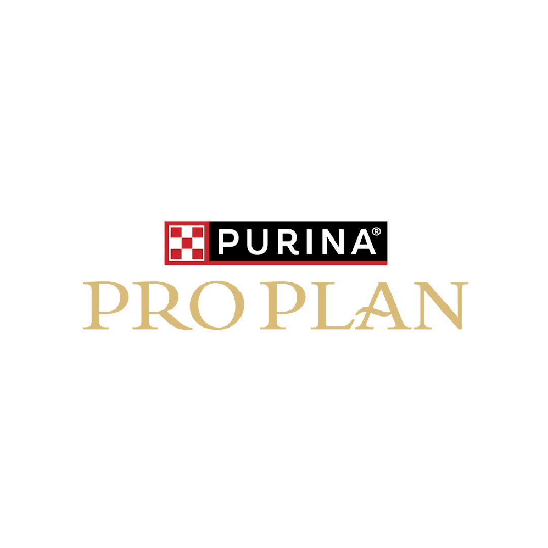 Pro Plan