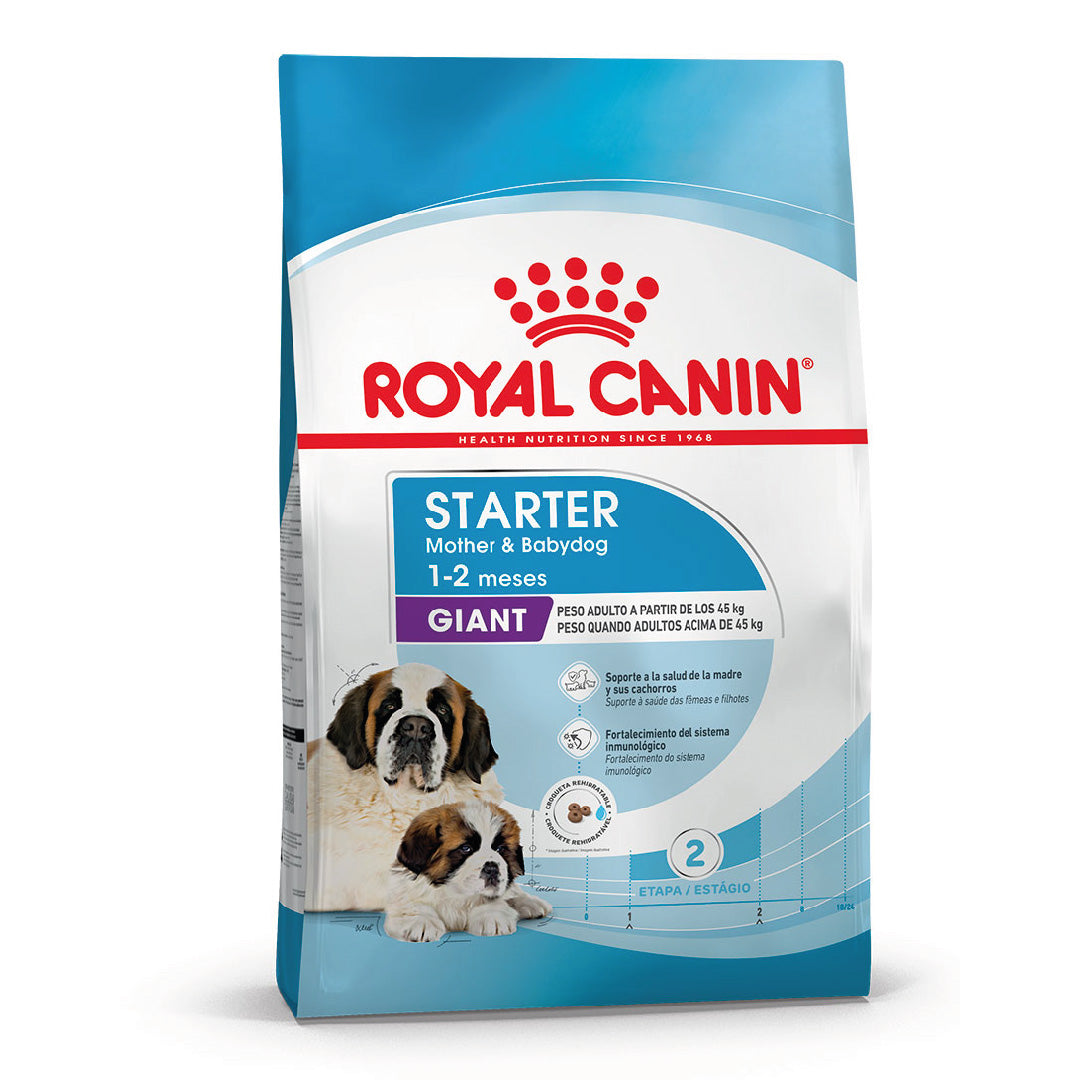 Alimento Royal Canin Perro Giant Starter Madre & Cachorro