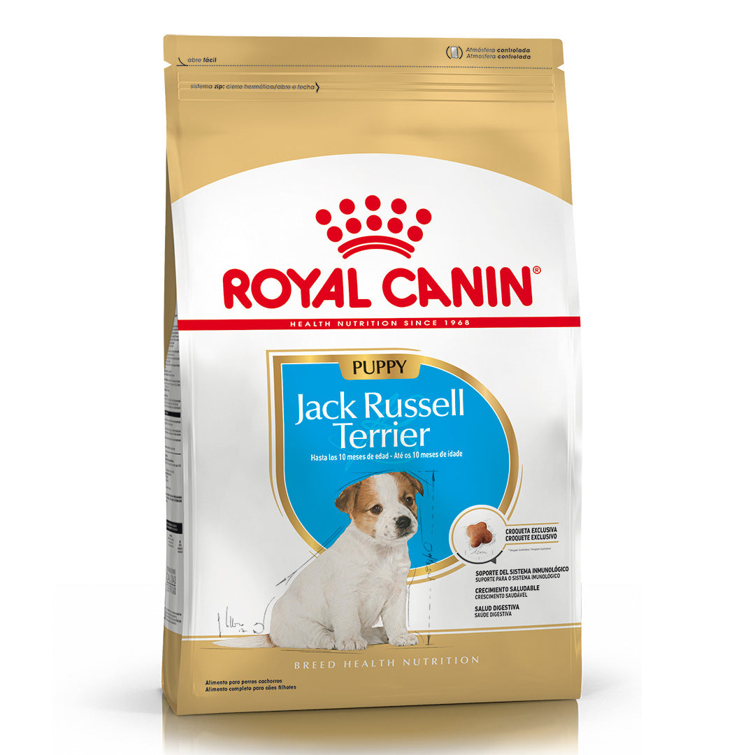 Alimento Royal Canin Perro Jack Russell Puppy