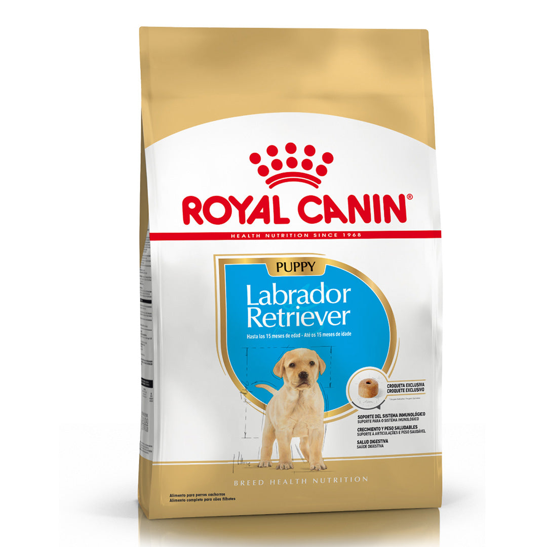 Alimento Royal Canin Perro Labrador Puppy