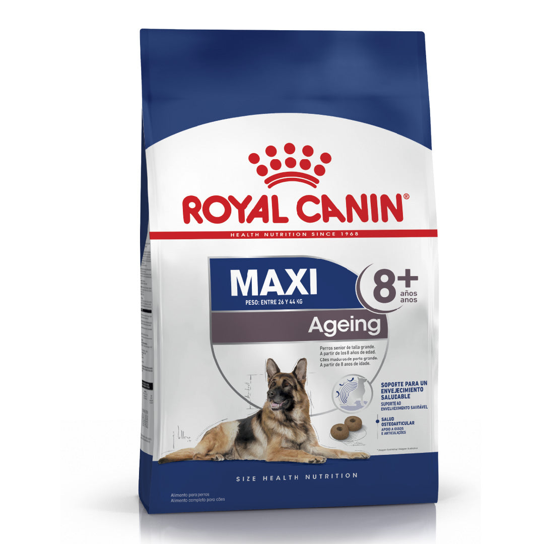 Alimento Royal Canin Perro Maxi Ageing edad 8+