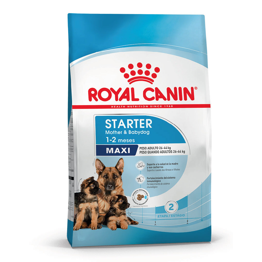 Alimento Royal Canin Perro Maxi Starter Madre & Cachorro