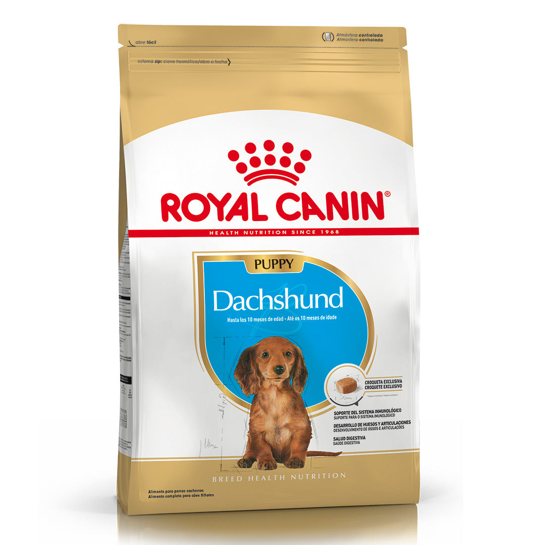 Alimento Royal Canin Perro Salchicha Puppy