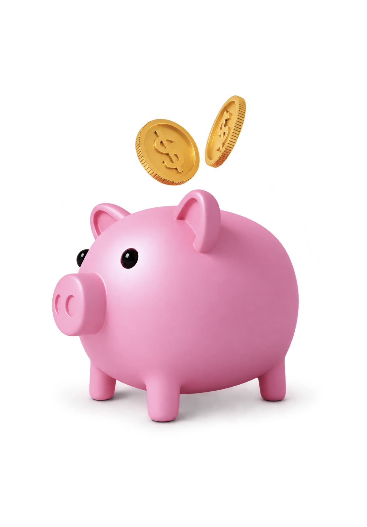 Cashback Pluspet